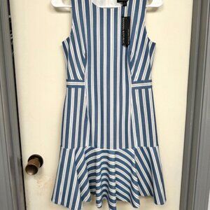 Blue Stripped Work Dress